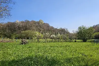 Edificabile Residenziali in vendita, Via per Senna, Capiago Intimiano