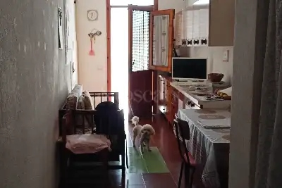 Casa Indipendente in vendita, Contrada Cardilla 24, Marsala