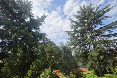Casa in vendita, Via dei Salimbeni, Roma