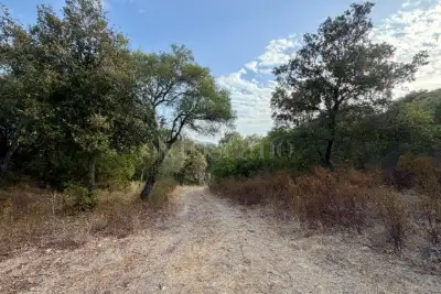 Agricolo in vendita, Via Raica, Olbia