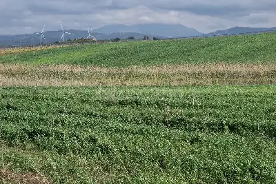 Agricolo in vendita, Trapani C/da Fittasi, Trapani