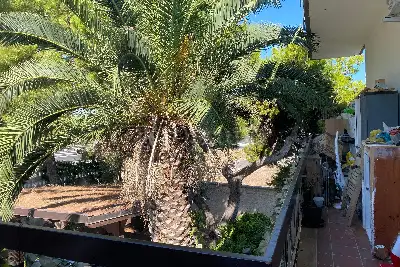 Villa in vendita, Via Napoli, Bari