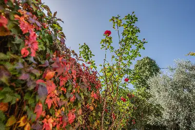 Villa in vendita, Ragalna-Piazza Cisterna, Ragalna