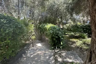 Cantina in vendita, Viadotto San Filippo, Letojanni