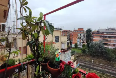 Casa in affitto, Via Alessandro Pieri, Roma
