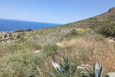 Agricolo in vendita, Piano Guastella, Erice