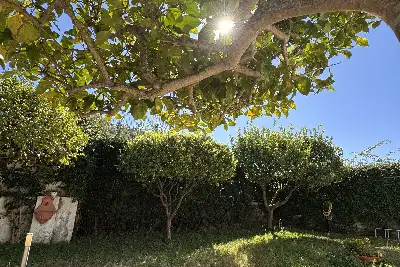 Villa in vendita, Ischia , Barano d'Ischia