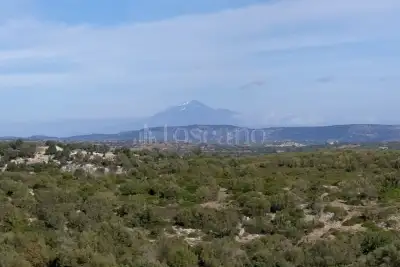Agricolo in vendita, Noto, Noto