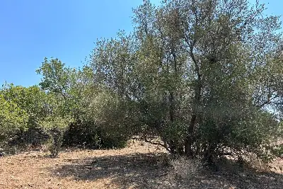 Edificabile Residenziali in vendita, TRAVERSA LA MARCHESA , Noto