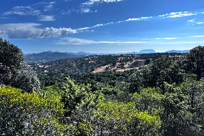 Agricolo in vendita, Telti via Monti Longu., Telti