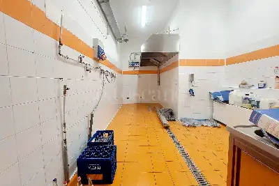 Negozio in affitto, Via Paolo Lomazzo, Milano