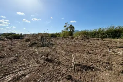 Agricolo in vendita, Via del Nuraghe, Olbia