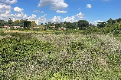 Edificabile Residenziali in vendita, Via Trotula de Ruggiero, Roma