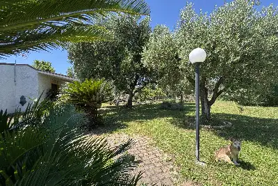 Villa in vendita, via colle cancellata grande , Zagarolo