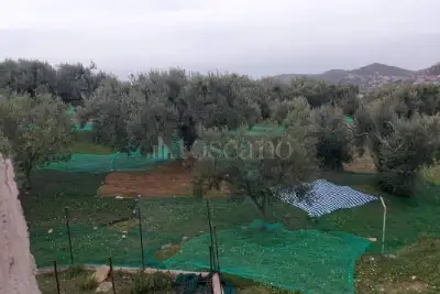 Agricolo in vendita, Motta San Giovanni, Motta San Giovanni