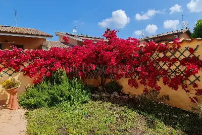 Casa in vendita, Viale di Castel Porziano, Roma
