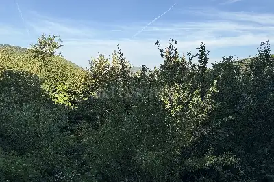 Villa Bifamiliare in vendita, Via San Gallo, Botticino