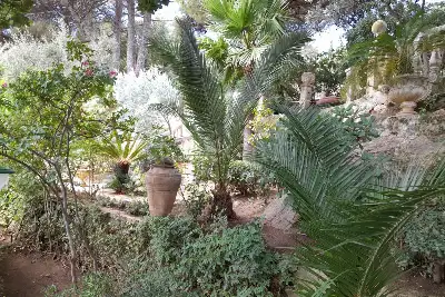 Villa in vendita, Torre Elena, Stalettì