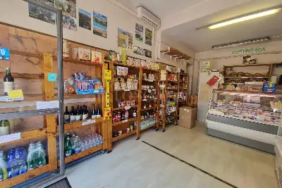 Negozio in affitto, Via Ludovica Albertoni, Roma