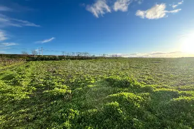 Agricolo in vendita, zona Macchione, Cerignola