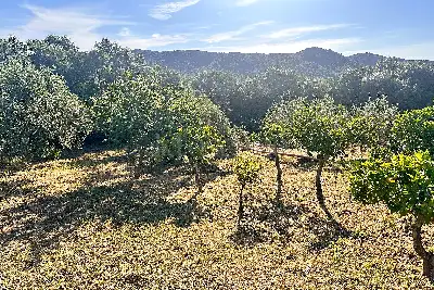 Edificabile Residenziali in vendita, Trudda via Angona, Loiri Porto San Paolo