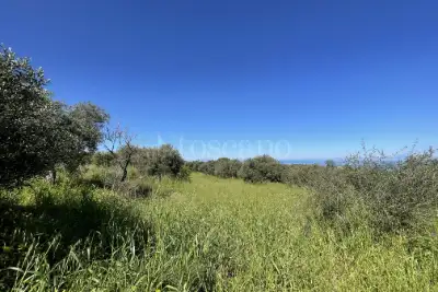 Rustico in vendita, Strada Provinciale 50, Messina