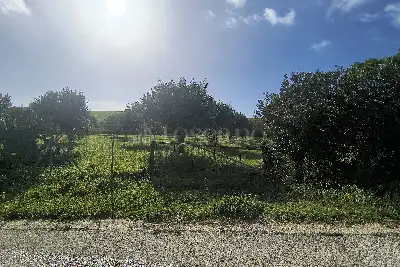 Agricolo in vendita, Via Martognella, Valderice