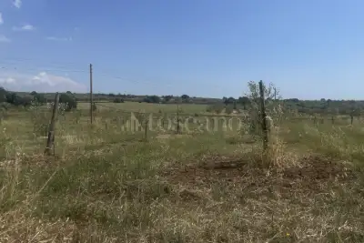 Agricolo in vendita, Strada Cassia Sud, Viterbo
