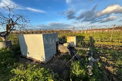 Agricolo in vendita, zona Macchione, Cerignola