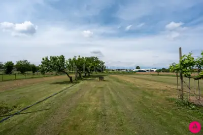 Casa Indipendente in vendita, Via Dante Alighieri, Fiume Veneto