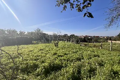 Agricolo in vendita, Casal del Marmo Ad.ze, Roma
