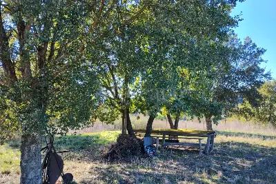 Agricolo in vendita, Via del casale d'Antoni, Roma