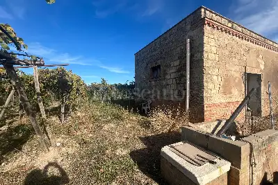 Agricolo in vendita, Strada Provinciale 62, Cerignola