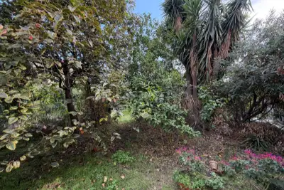 Casa Indipendente in vendita, Via Roma, Zafferana Etnea
