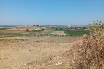 Edificabile Commerciale in vendita, Menfi C/DA Cavarrettello, Menfi