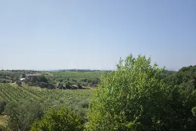 Villa in vendita, Via del Gallo Nero, Castelnuovo Berardenga
