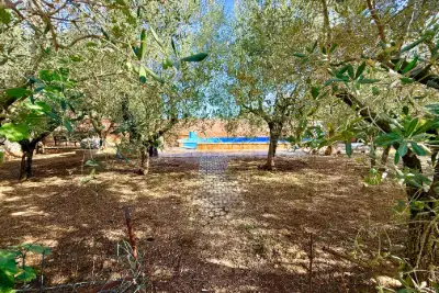 Villa in vendita, Via Cervicione, Nettuno