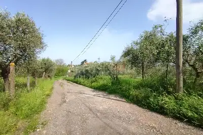 Agricolo in vendita, Terreno Zona Finocchio, Roma