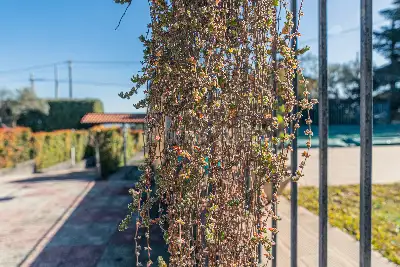 Villa in vendita, Via Lucio Piccolo, Zafferana Etnea