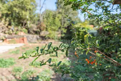 Villa in vendita, Ragalna-Piazza Cisterna, Ragalna