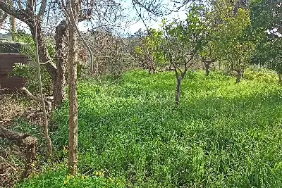 Casa Indipendente in vendita, Via Piano Neve, Buseto Palizzolo