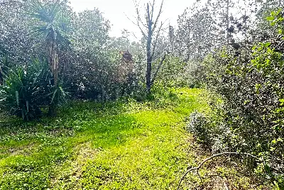 Villa in vendita, Corso Vittorio Veneto, Olbia