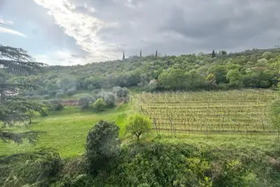Casa in affitto, Largo Bruno Castiglioni, Verona