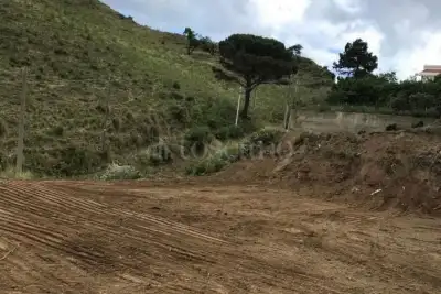 Agricolo in vendita, C/da Ogliastrello Marotta, Messina
