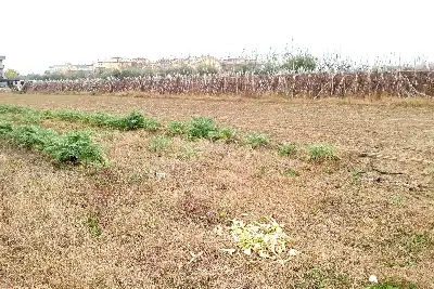 Agricolo in vendita, Via G. Donizetti, Martinsicuro