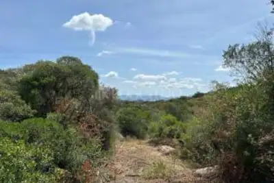 Agricolo in vendita, Telti via Monti Longu., Telti