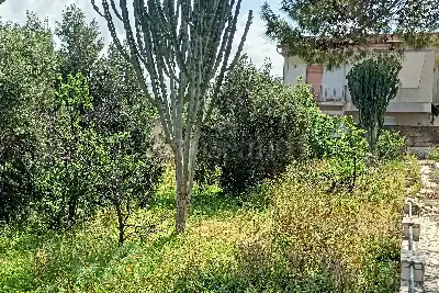 Edificabile Residenziali in vendita, Via Loco secco , Valderice