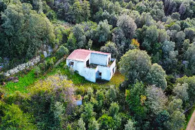 Casale in vendita, Località Zanzari Sant'Antonio di Gallura, Sant'Antonio di Gallura