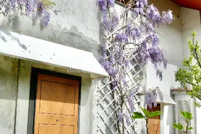 Villa Plurifamiliare in vendita, Via Domenico de Santis, Cerveteri