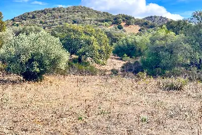 Agricolo in vendita, Trudda , Loiri Porto San Paolo